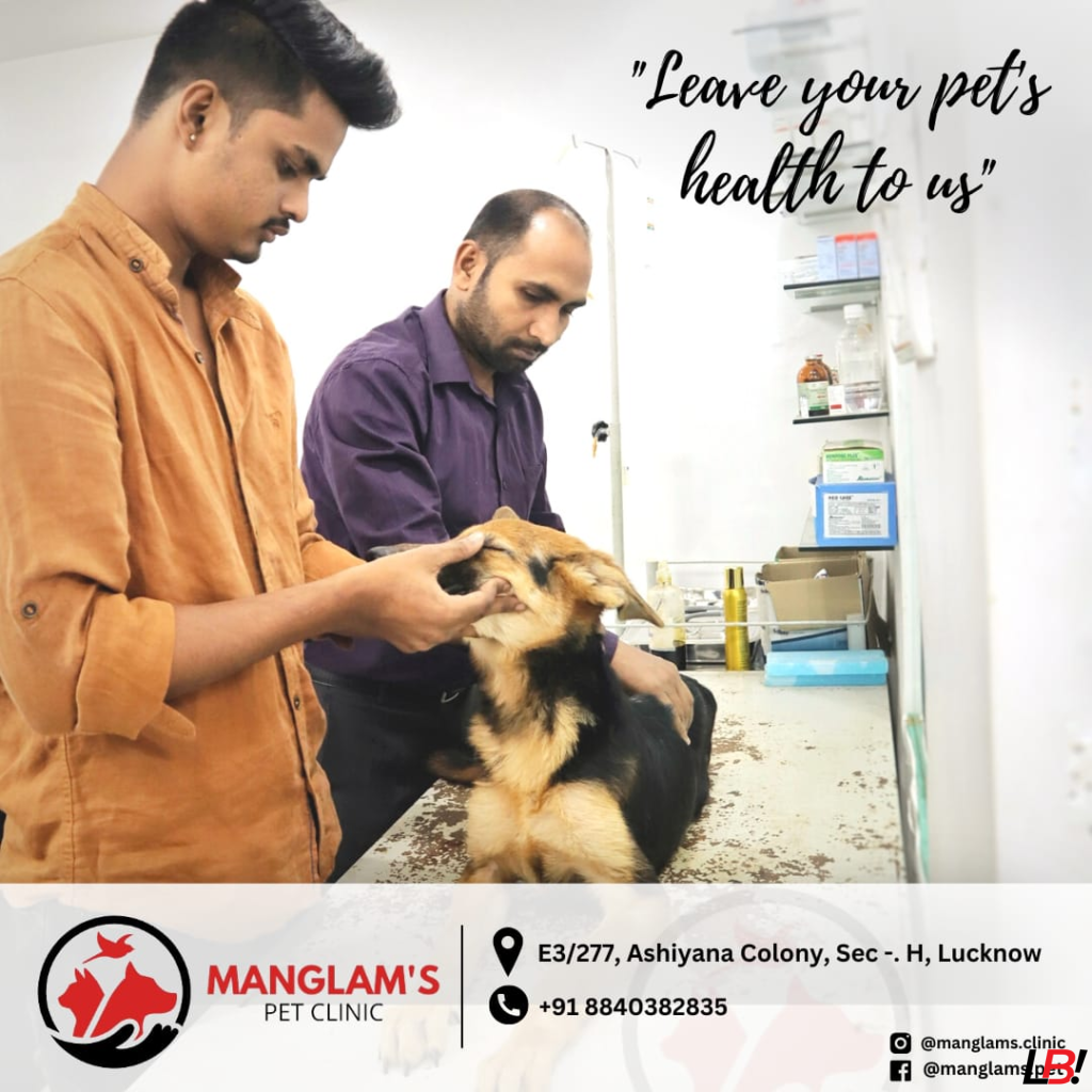 अयोध्या के डॉ. कुमार मंगलम यादव: लावारिश पशुओं के मसीहा 4 | LucknowBuzz अयोध्या के डॉ. कुमार मंगलम यादव: लावारिश पशुओं के मसीहा - Lucknow Buzz | Lucknow City Guide